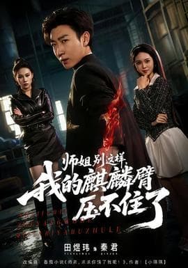 师姐别这样，我的麒麟臂压不住了海报