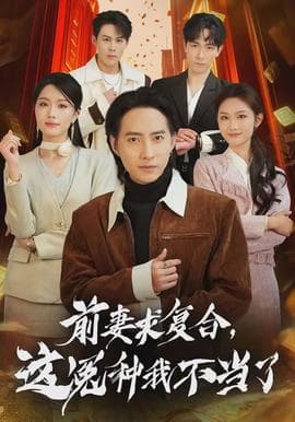 前妻求复合，这冤种我不当了海报