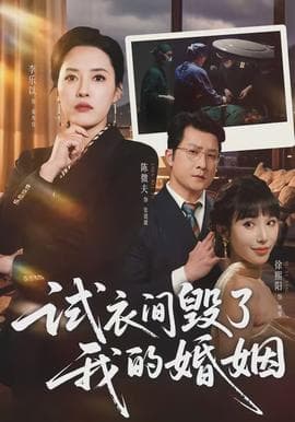 试衣间毁了我的婚姻海报
