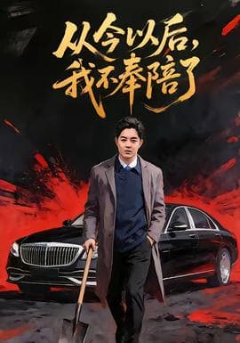 从今以后，我不奉陪了海报