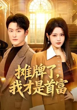 摊牌了，我才是首富海报