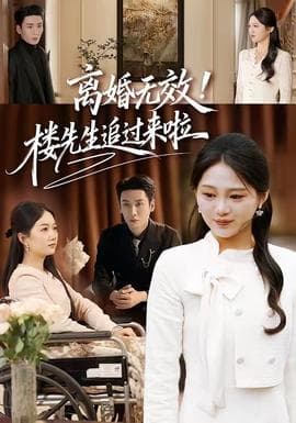 离婚无效！楼先生追过来啦海报