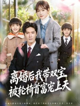 离婚后我带双宝被轮椅首富宠上天海报