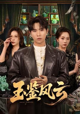 玉鉴风云海报