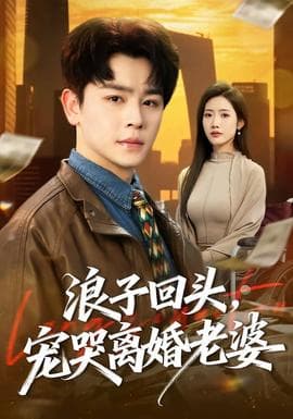 浪子回头，宠哭离婚老婆海报