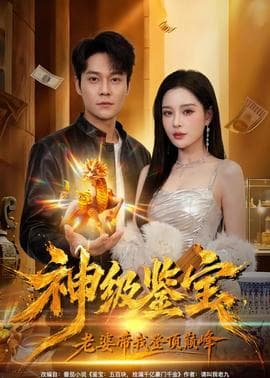 神级鉴宝，老婆带我登顶巅峰海报