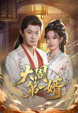 大周第一婿海报