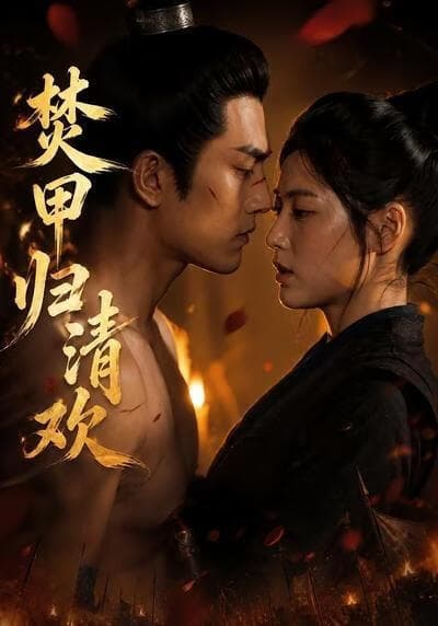 焚甲归清欢海报
