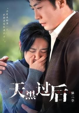 天黑过后第二季海报