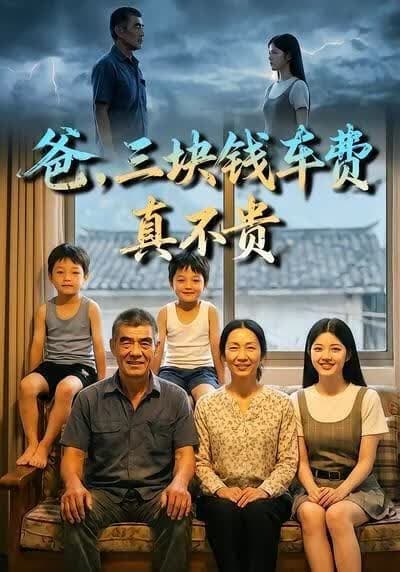 爸，三块钱车费真不贵海报