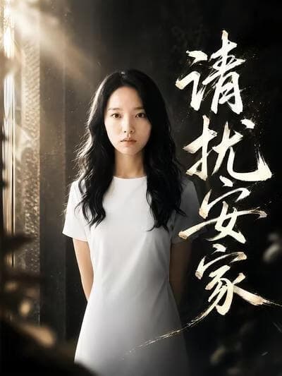 清扰安家海报