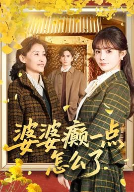 婆婆癫一点怎么了海报
