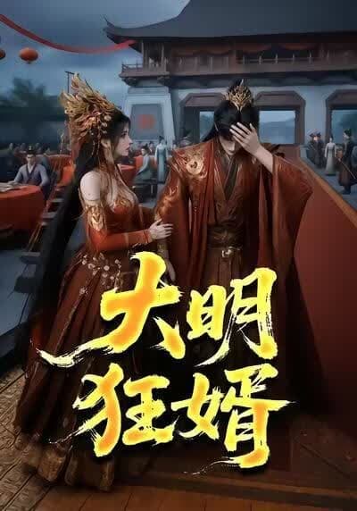 大明狂婿海报