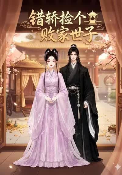 错轿捡个败家世子海报
