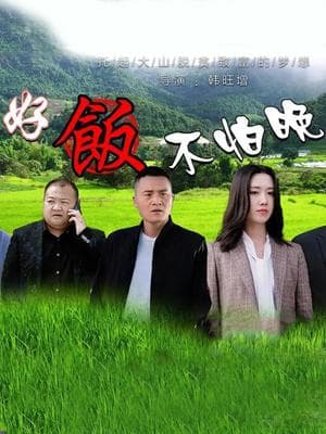 好饭不怕晚海报