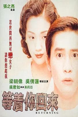 等着你回来1994海报