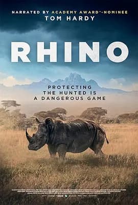 犀牛2025海报