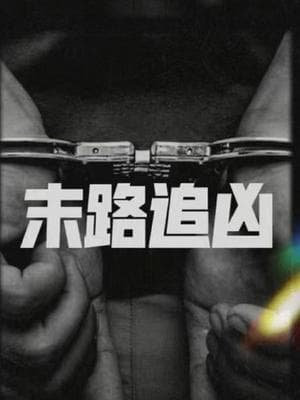 末路追凶海报