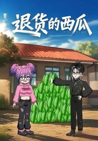 退货的西瓜海报