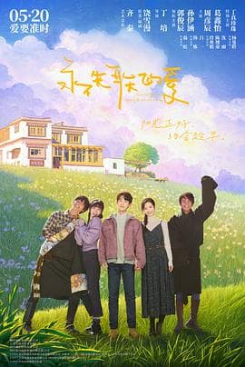 永不失联的爱2025海报