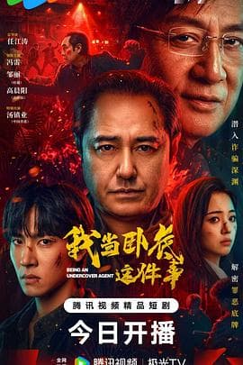 我当卧底这件事海报