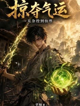 掠夺气运：从杂役到仙尊海报