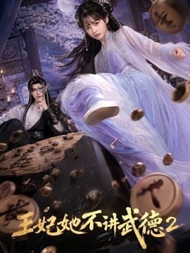 王妃她不讲武德2海报