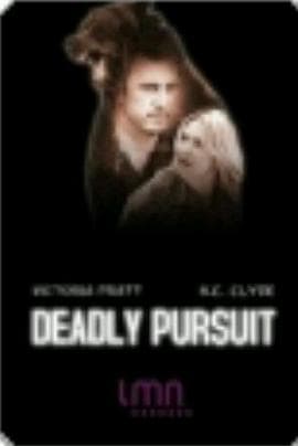 致命追捕海报