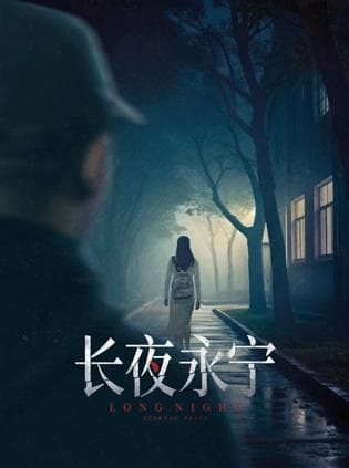 长夜永宁海报