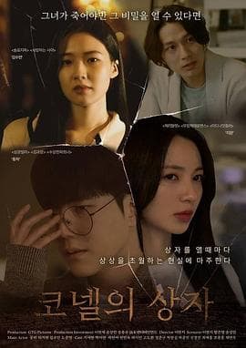 康奈尔之盒海报