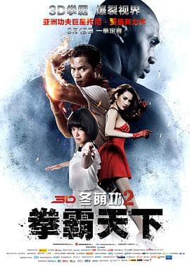 冬荫功2:拳霸天下(国语版)海报
